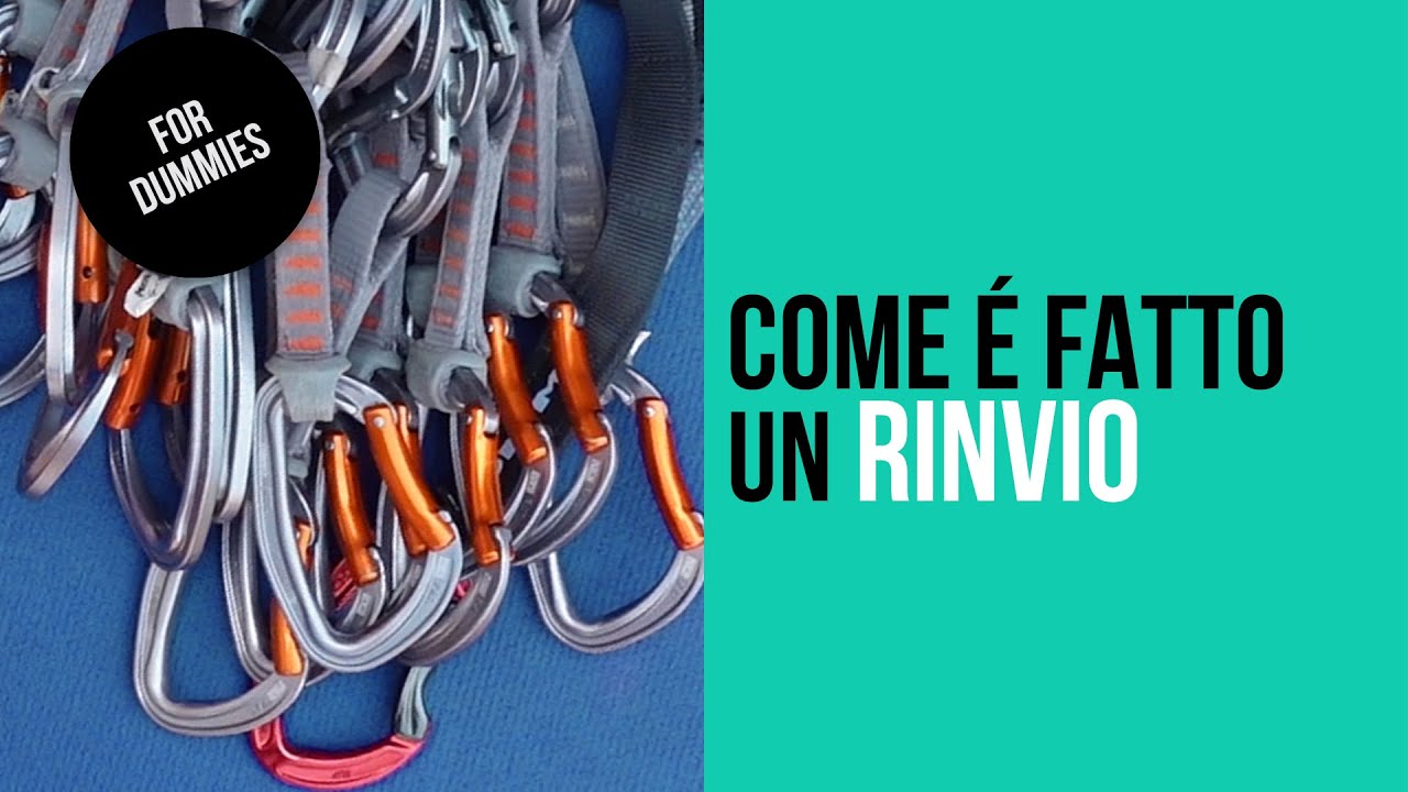 Come è fatto un rinvio