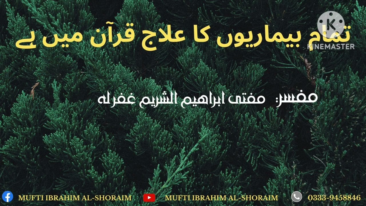 Tamam bimaariyon ka ilaaj Quran mein hai | Mufti Ibrahim Al-Shoraim 