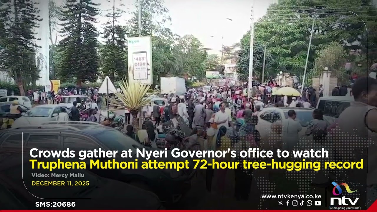 Crowds gather in Nyeri to watch Truphena Muthoni attempt 72-hour tree-hugging record