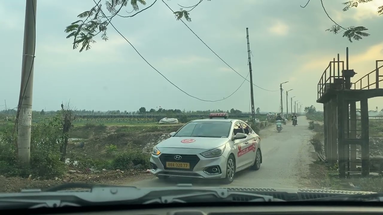 Đón khách củ chuối 