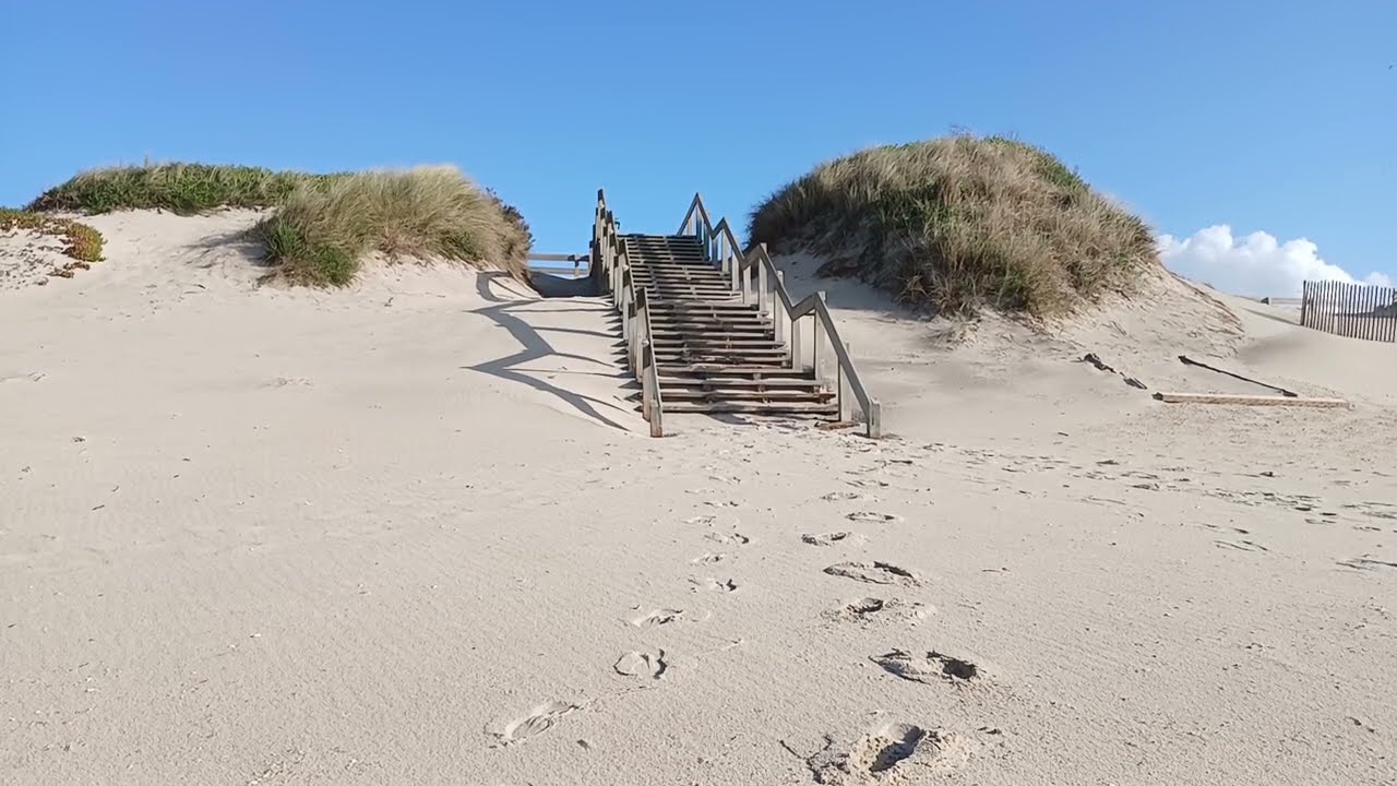 Stellplatz neben Vagasplash bei Vagos in Portugal - Ariadne reist