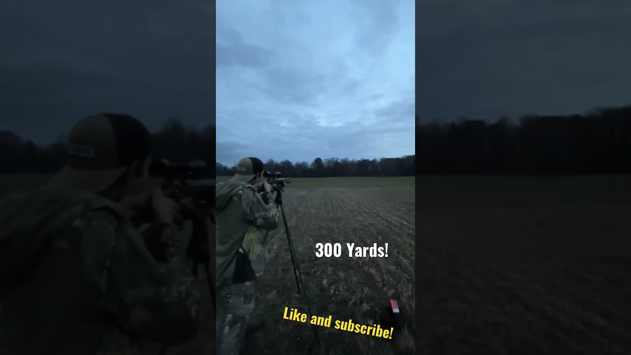 300 Yards with a 243 on the first try I&rsquo;ll take it any day!