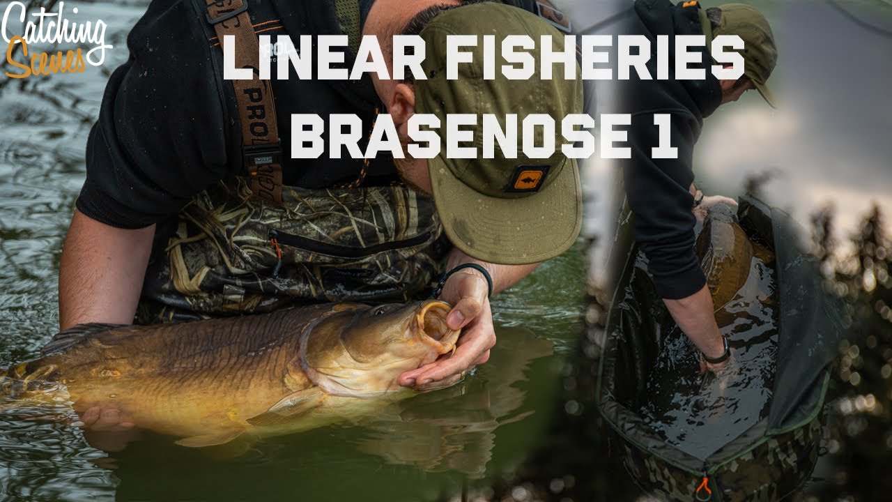 Linear Fisheries - Brasenose 1 - Carp Fishing - Day Ticket Carping - Solid Bag Fishing