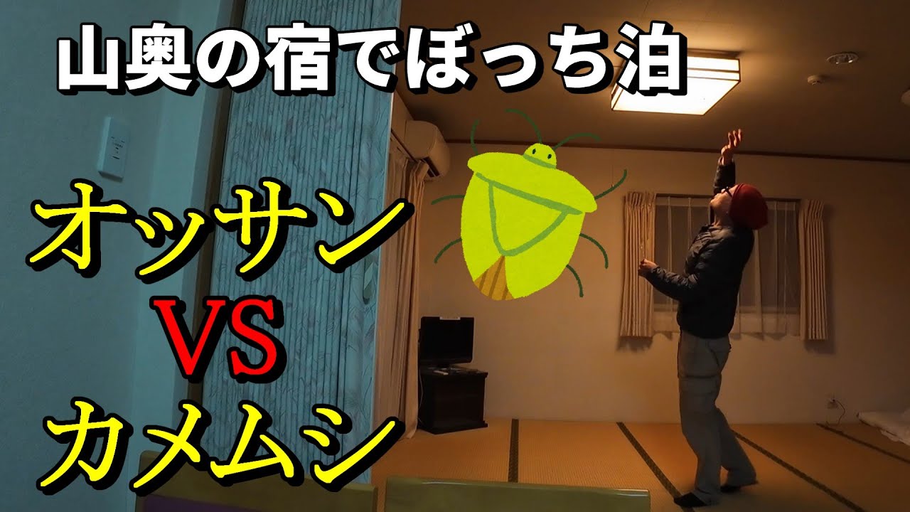 山奥の宿でぼっち泊してたらカメムシが現れた【1泊2日モンキーツーリングの旅⑦】