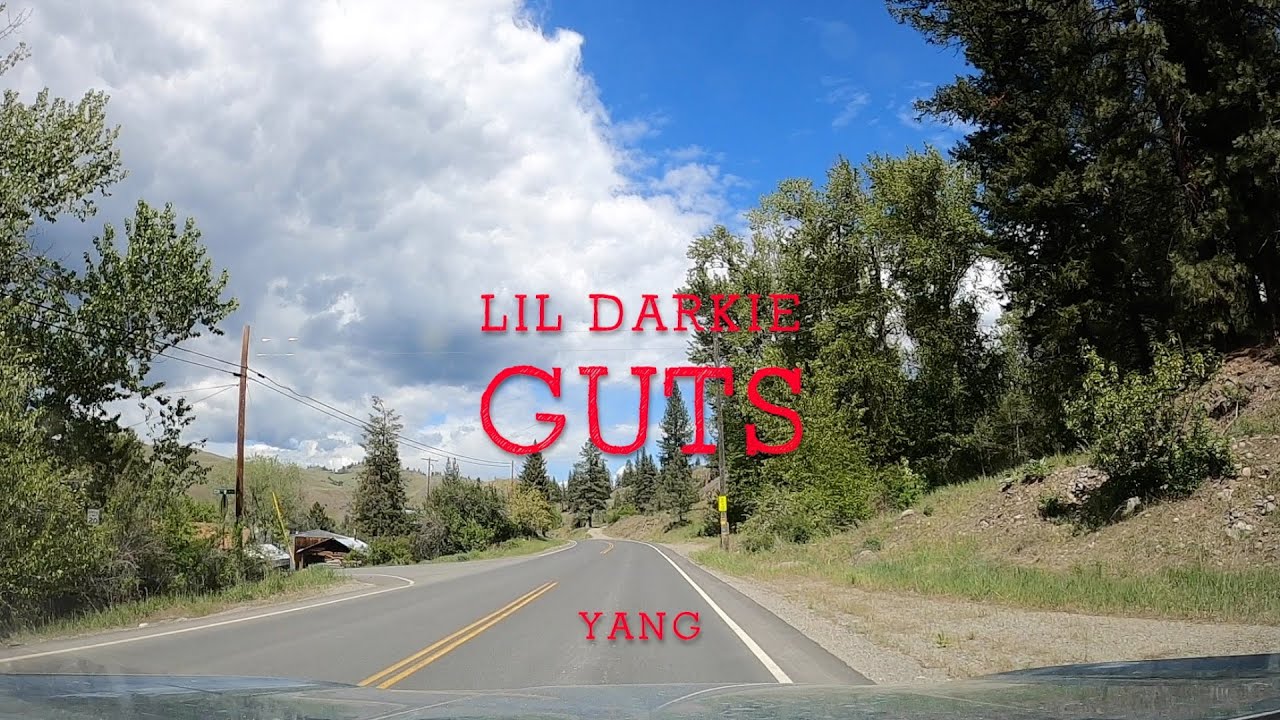 Lil Darkie - guts (Lyrics)