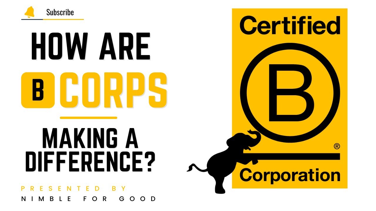 How Are B Corps Making a Difference?