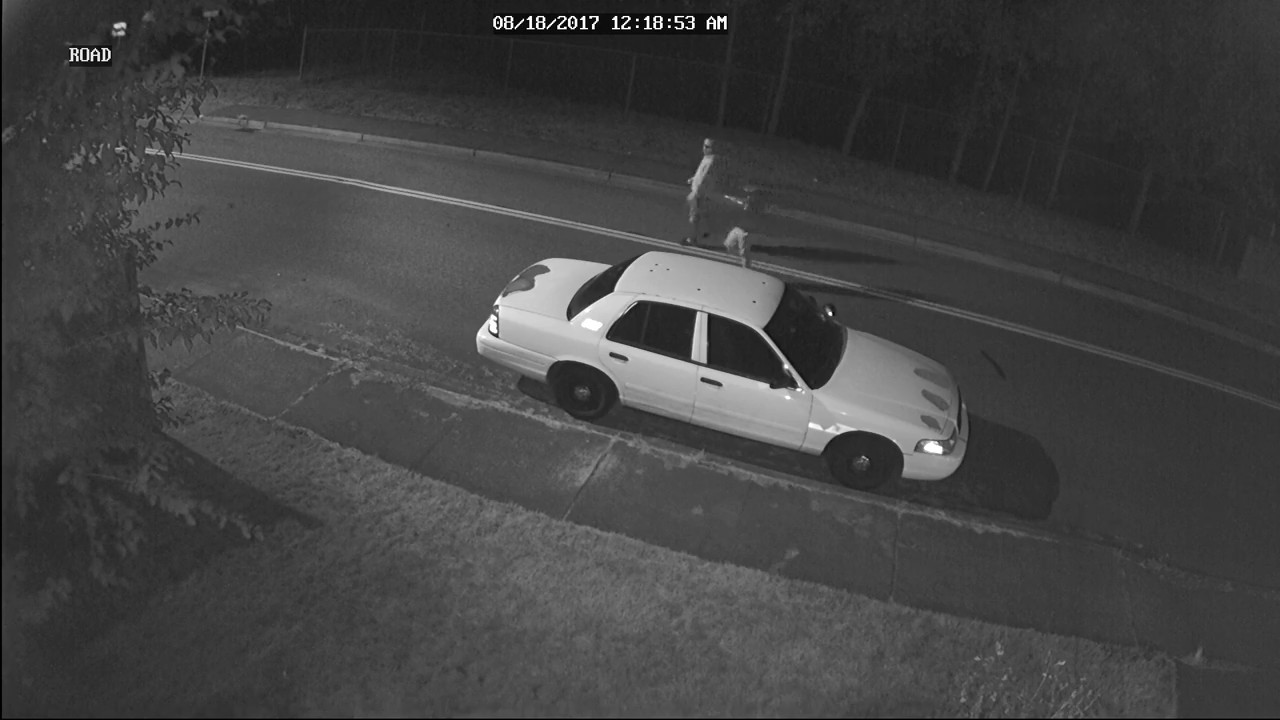 Traffic Cone Theft