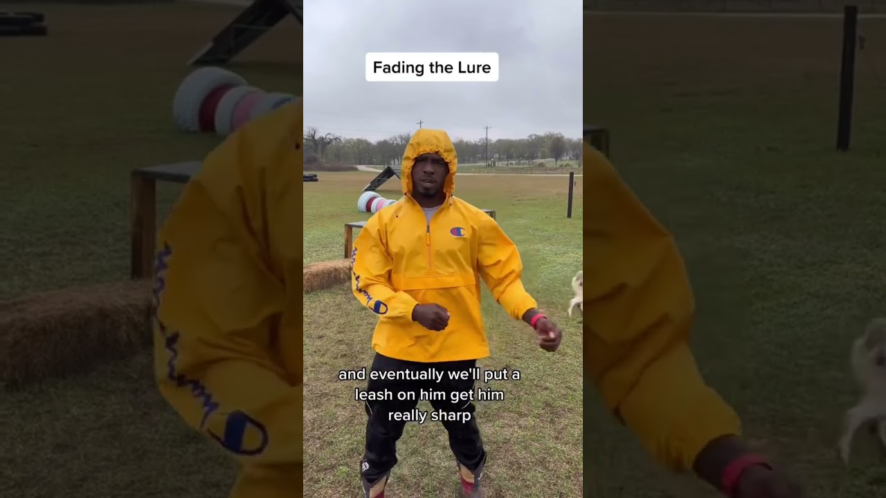 Fading The Lure!!!