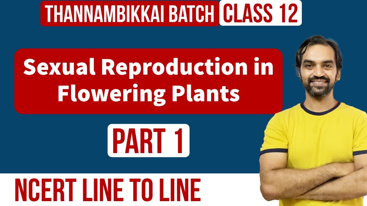 Sexual Reproduction in Flowering Plants | Part 1 | NCERT Line to Line | Thannambikkai Batch