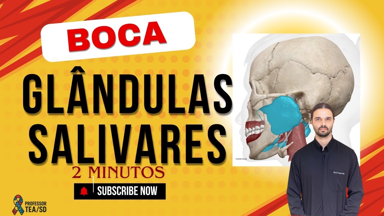 Boca - Glândula Salivar- Anatomia Humana