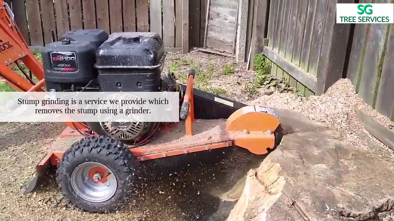 SG Tree Stump Grinding Service