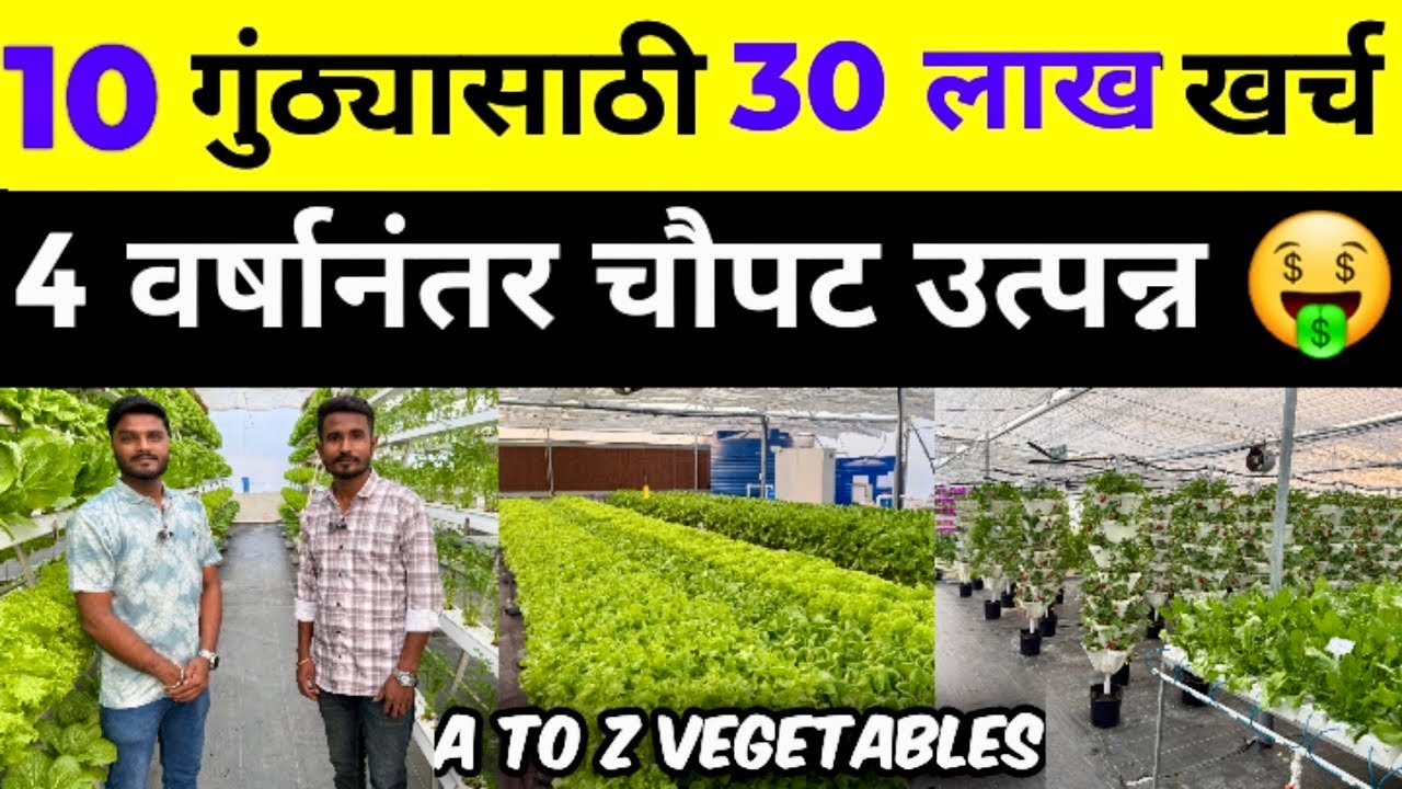 10 गुंठ्यासाठी 30 लाख खर्च 😱😳| 4 वर्षानंतर चौपट उत्पन्न💰| A To Z Exotic Vegetable Farming 