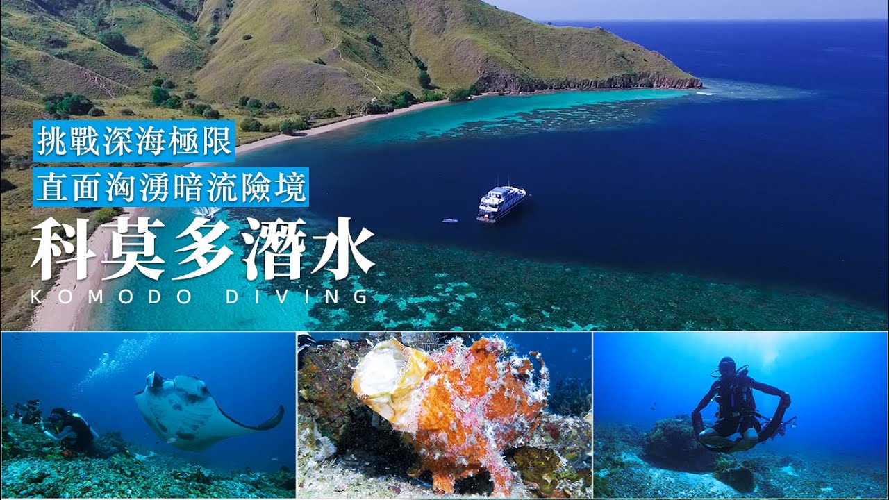 挑戰深海極限，直面洶湧暗流險境：印尼科莫多潛水。Komodo diving