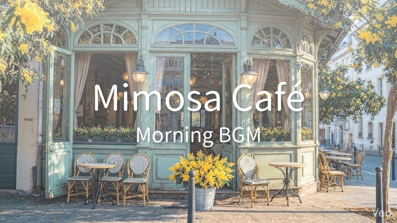 【朝BGM】ミモザに包まれる｜Cafe Music｜春・作業用・読書
