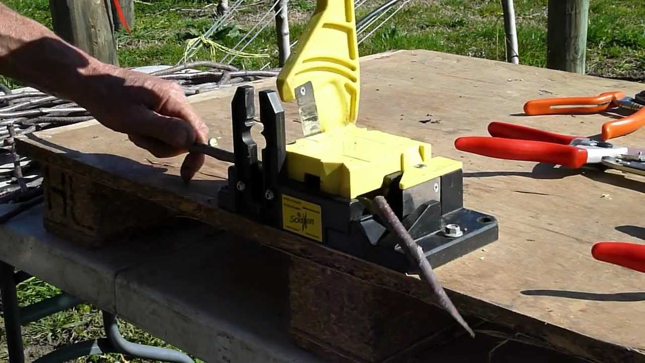 Cutting rind grafts for bark grafting