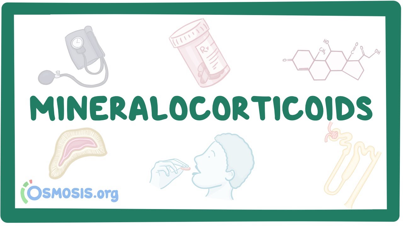 Mineralocorticoids and mineralocorticoid antagonists ~Pharmacology~