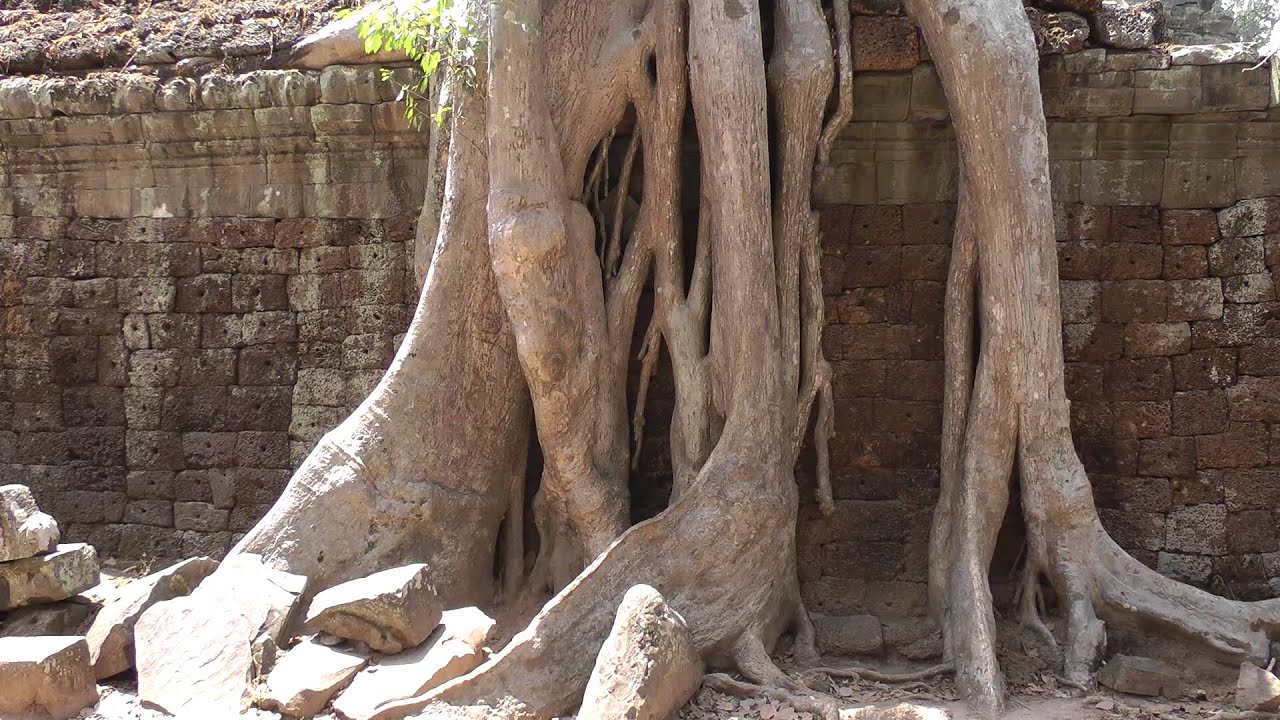 CAMBODIA - Angkor Wat Temples