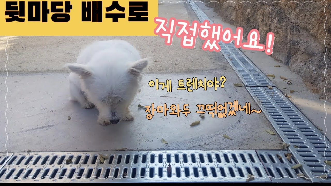 배수로 셀프공사로 비용 절감! 트렌치로 조금 더 쉽게 시공하기!