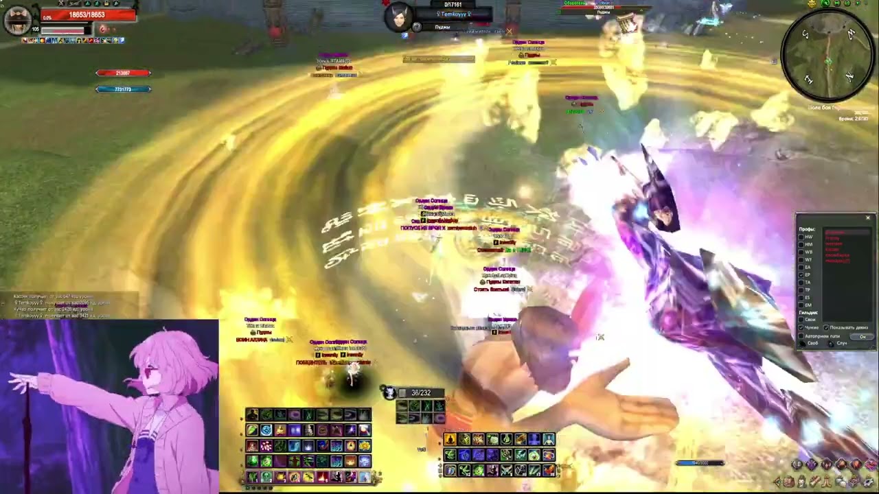 GvG Пуджи  Insanity 1 06 2024  comeback pw146 атака