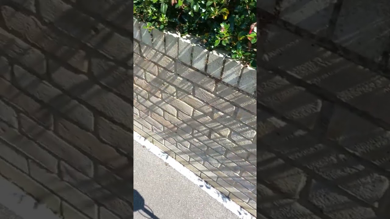 По улицам Кембриджа