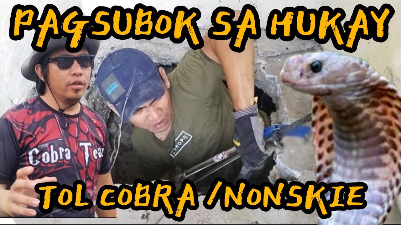 MATINDING PAGSUBOK NG MAGKAPATID , TOL COBRA AT NONSKIE SA ILALIM NG DEPOSITO #cobraprince #tolcobra