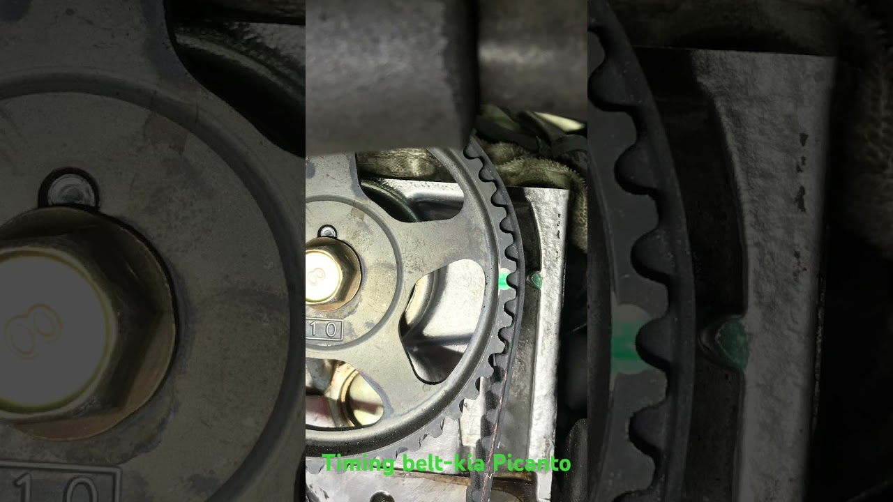 Timing belt-cinghia distribuzione-fase- Kia picanto