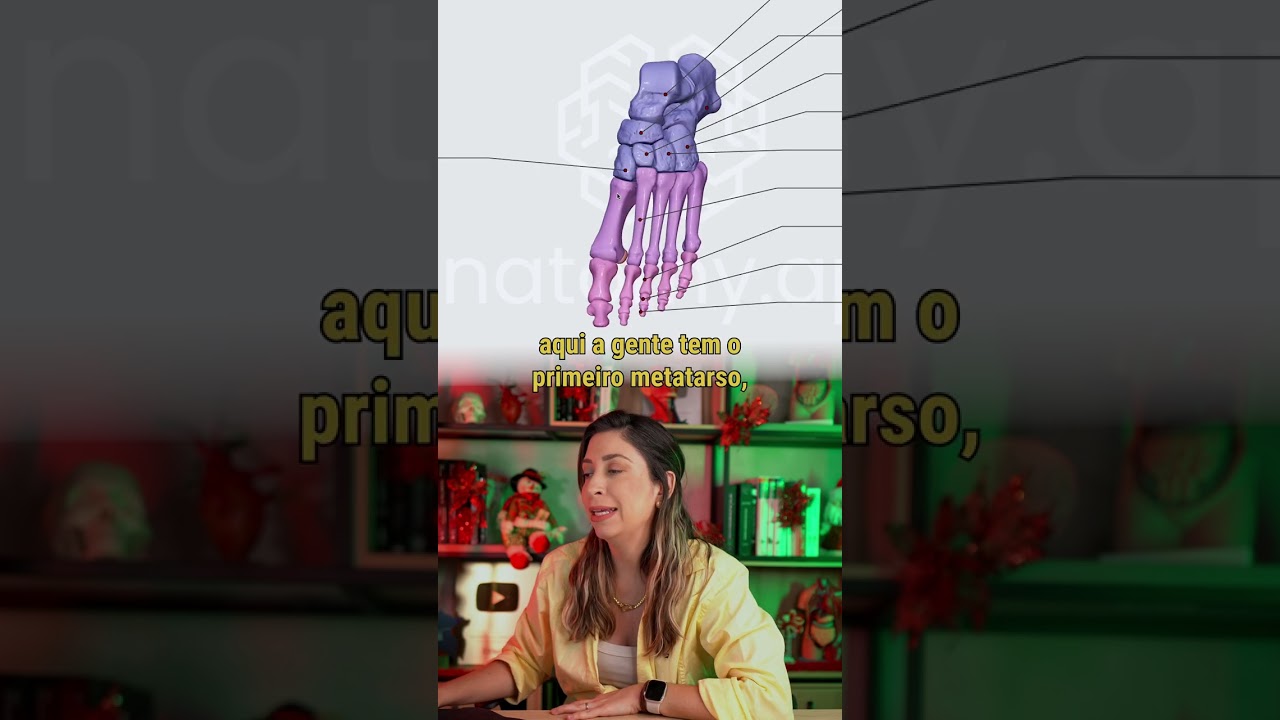 Revisando os OSSOS DO P&Eacute;! 🦴