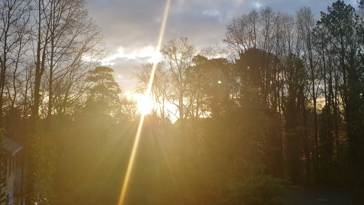 Mar 10, 2026. Good morning. Sun rising  through the trees.  Sunrise. Calming. Serene. Beautiful.