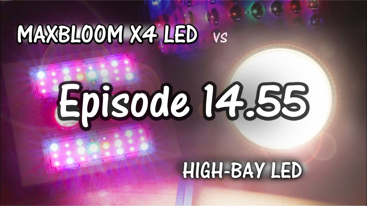 MaxBloom vs High Bay LED Grow Light Ep. 14.55 (More Problems)