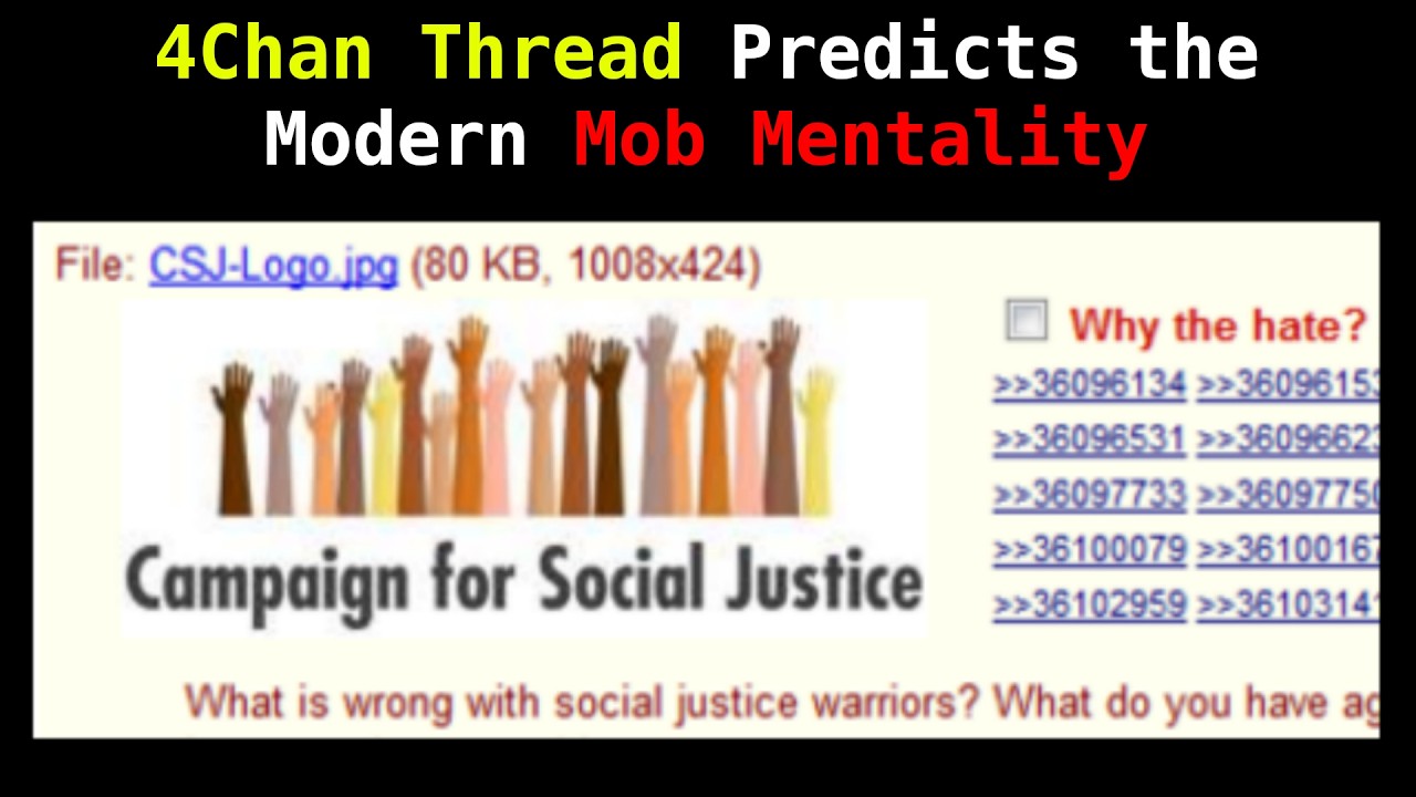 4chan Thread from 2014 Explains what's Wrong with Modern SJWs/Wokeism (Greentext Readthrough)