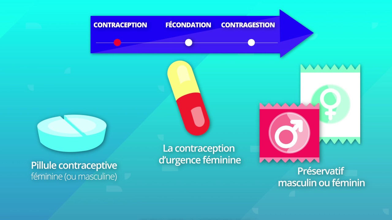 Hormones et procr&eacute;ation humaine (SVT 2de)