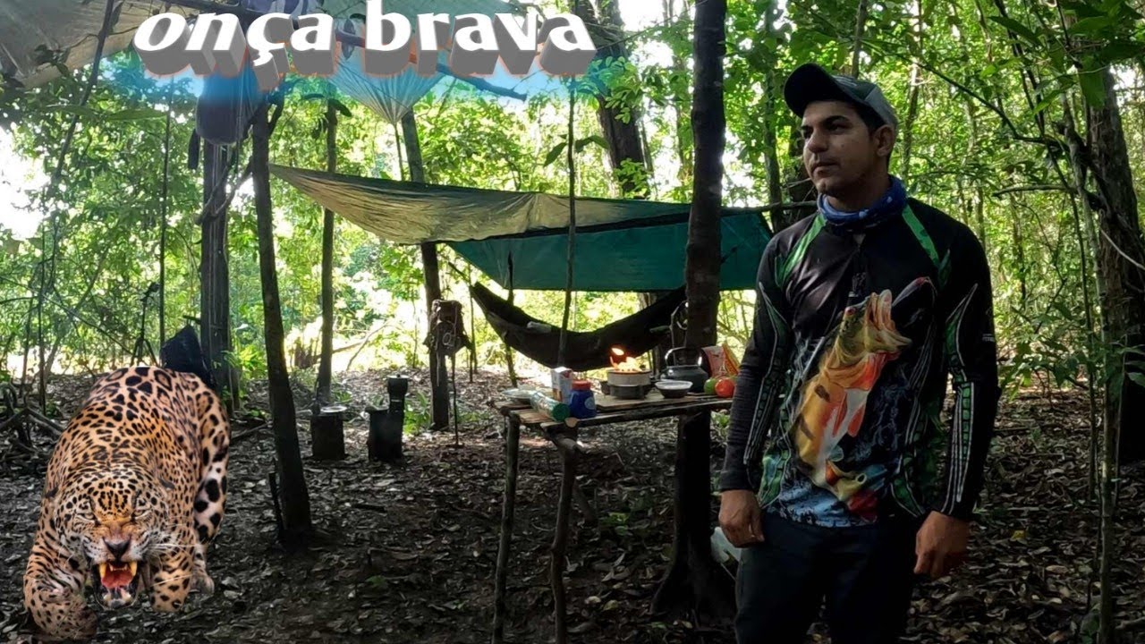 Aventura e perigos , onça atacando gado próximo de nois 