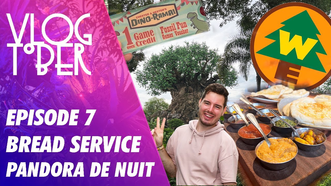 Vlog #16 | Animal Kingdom | Bread Service Sanaa | Le plus Grand Cabaret du Monde | Pandora de Nuit