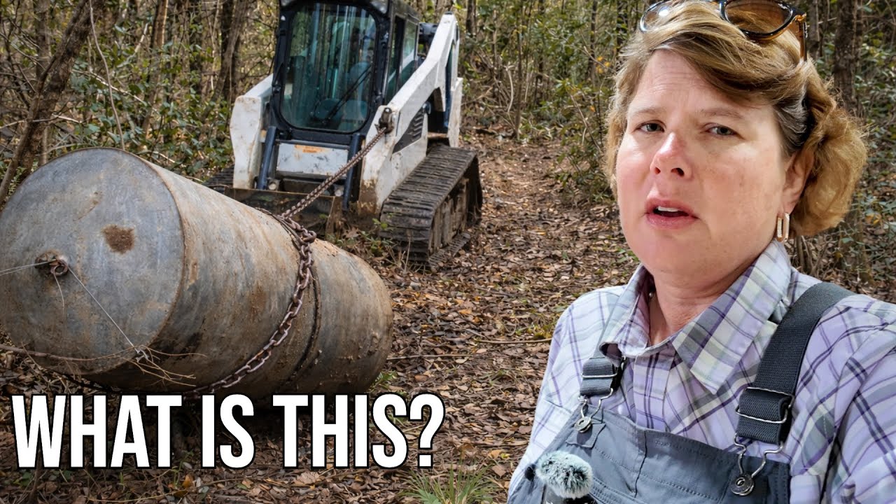 Finally Pulled It Out of the Woods, & I’m More Confused Than Ever?