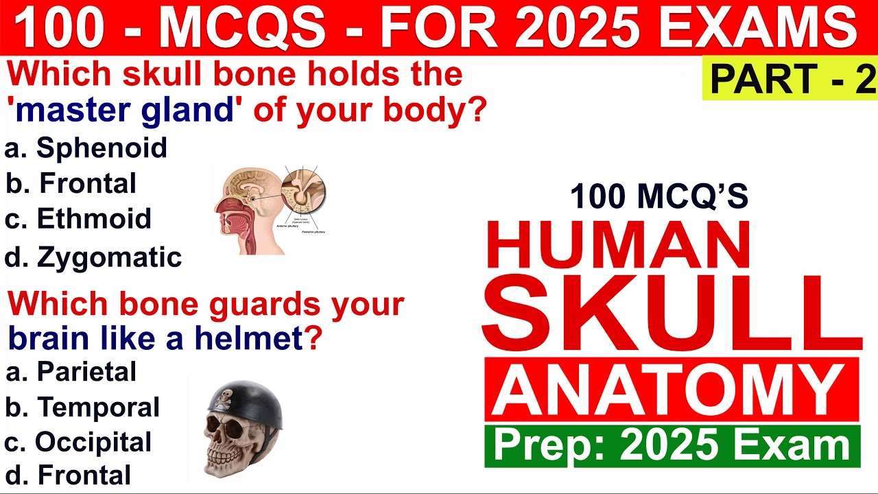 Bones | Skull | Skull anatomy quiz | Bones mcq | Skull anatomy and physiology | #bones #skull