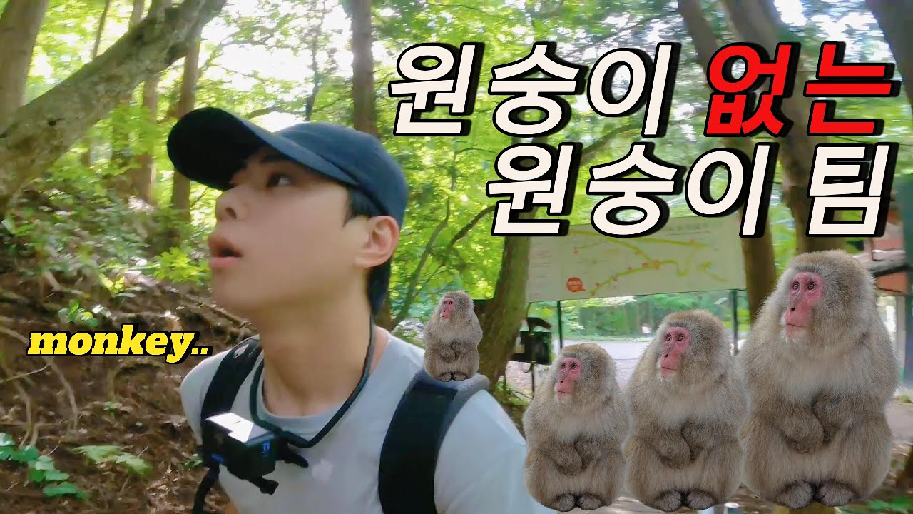 🇯🇵 온천에서 목욕하는 원숭이? 이건 못참지 /나가노 지옥온천