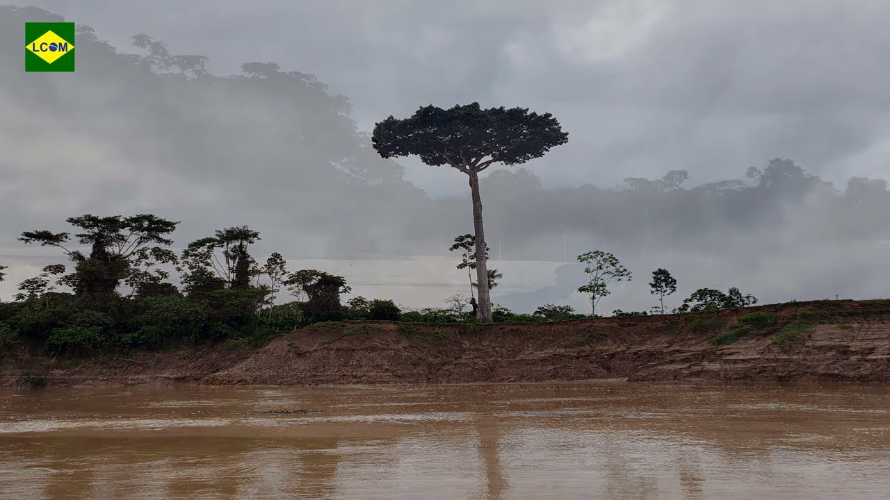 RIO PURUS (04) - PRIMEIRA EXPEDI&Ccedil;&Atilde;O ECOL&Oacute;GICA E SOCIOECON&Ocirc;MICA. Veja na Qualidade 1080p HD.