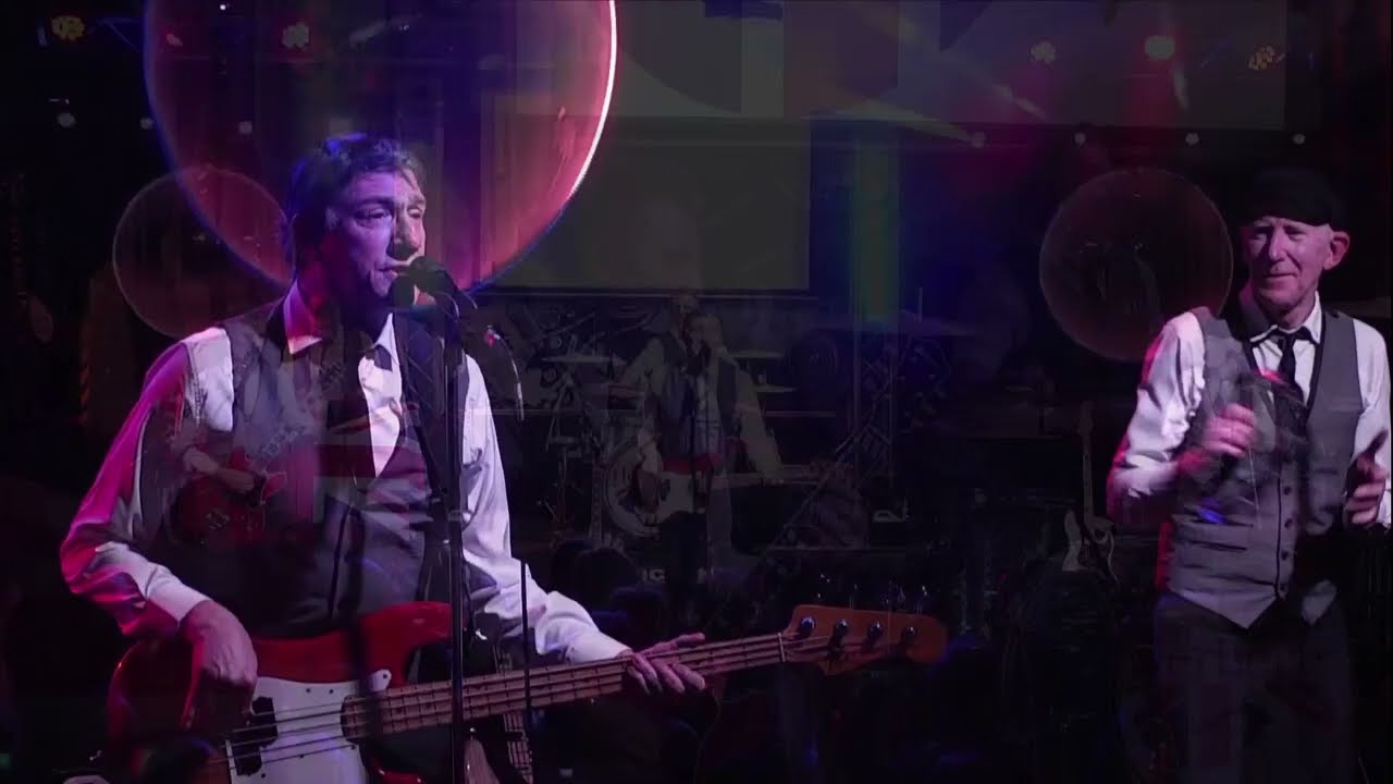 Do You Wanna Dance  - The Herberts