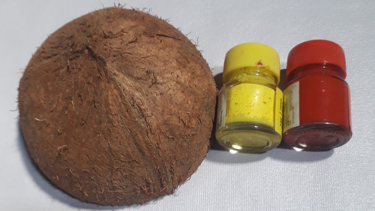 Coconut Shell Wall Hanging / DIY Angry Bird make at home/ Easy Craft idea