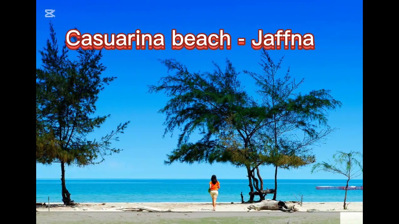 Casuarina beach, Jaffna, Sri Lanka