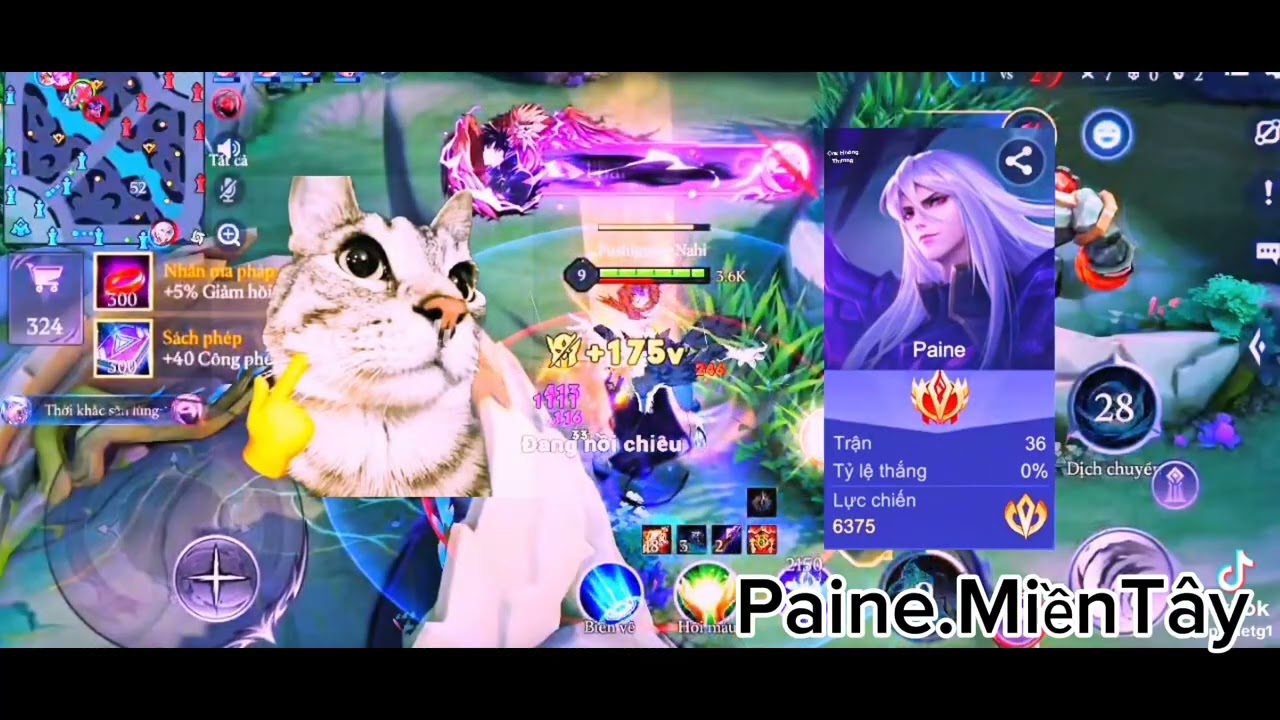 Tổng hợp các highlight Liên Quân #2 | FLO.onmeta.