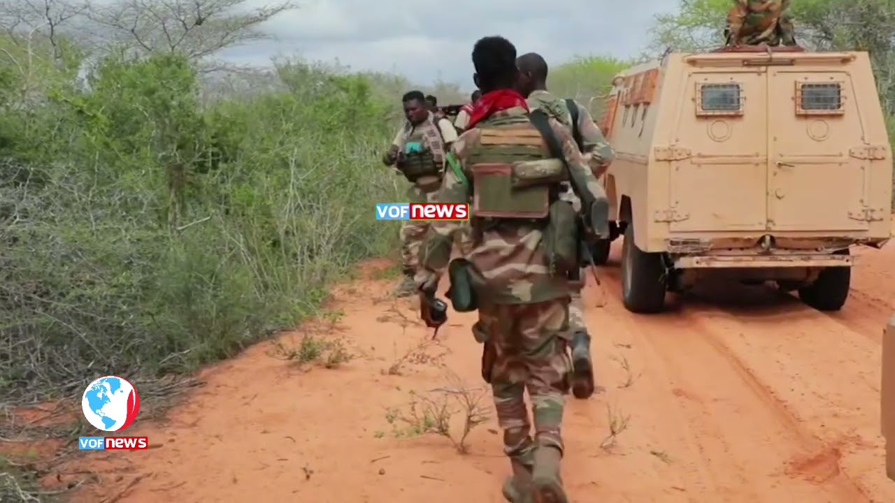 AANO QABIIL:-Dil ka dhacay Markale deegaanka Ceel-baraf ee gobolka Shabeellaha Dhexe.