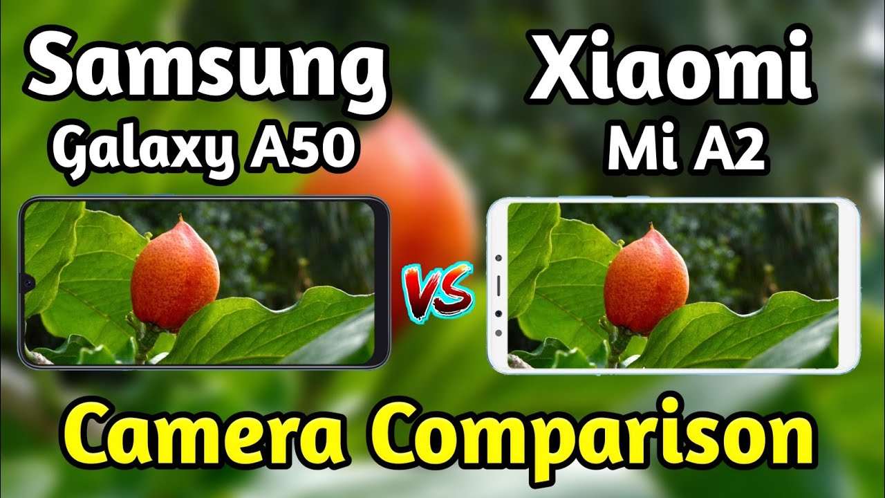 Samsung Galaxy A50 VS Xiaomi Mi A2 Camera Test Comparison|Galaxy A50 Review|Mi A2 Overview|