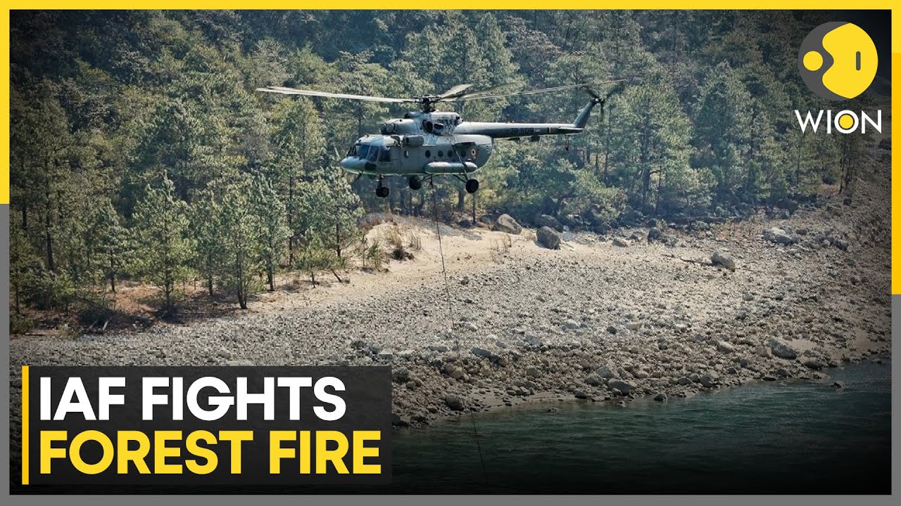 IAF Battles Arunachal Forest Fire, Drops 12,000 Litres to Save Villages | WION NEWS