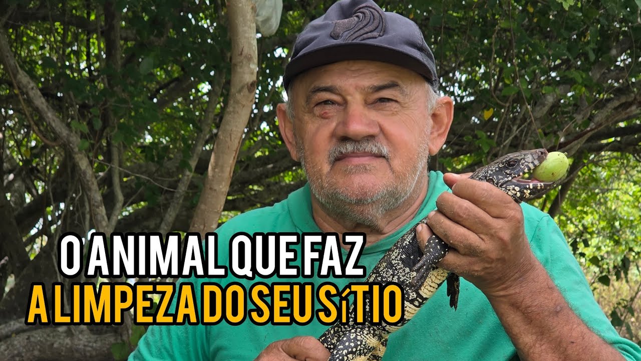 O animal que te protege de COBRAS