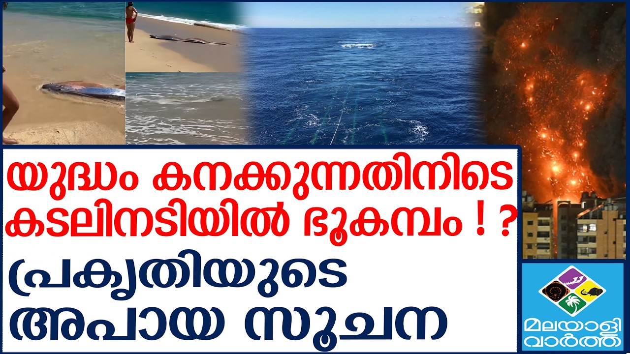 ഓർ മത്സ്യങ്ങൾ കരക്കടിഞ്ഞതിന് പിന്നാലെ സംഭവിച്ചത്  | Malayalivartha