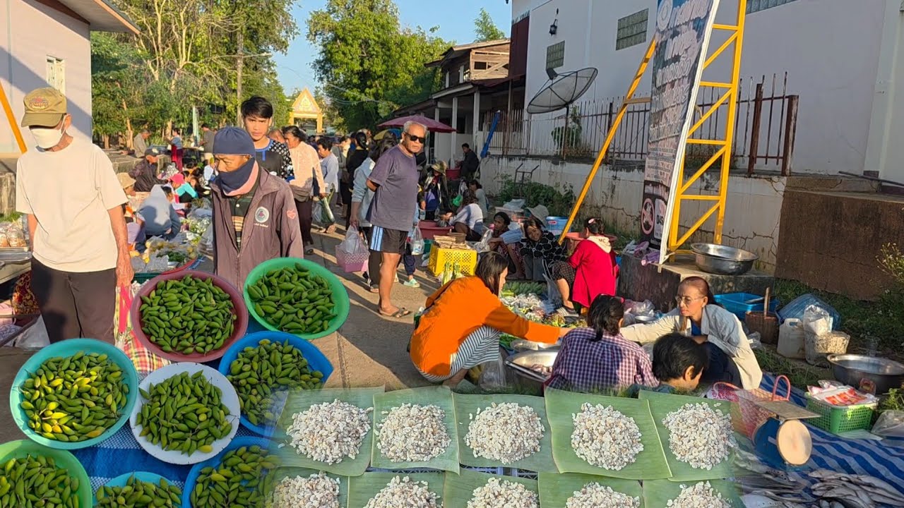 ผลไม้ป่า ไข่มดแดง ตลาดเช้าบ้านนาเจริญ อ.เขมราฐ จ.อุบลฯ