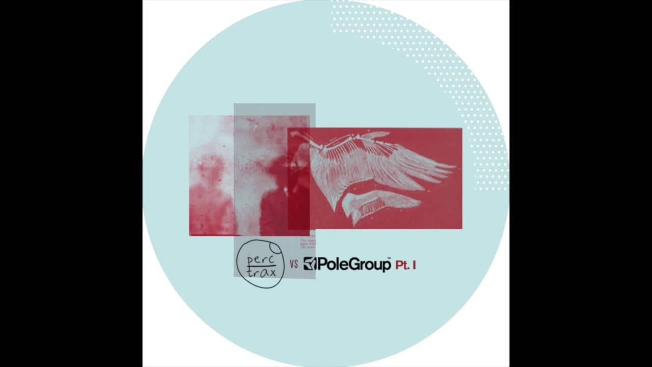 Reeko - Psychodelic Vision - PoleGroup019 Bonus Track