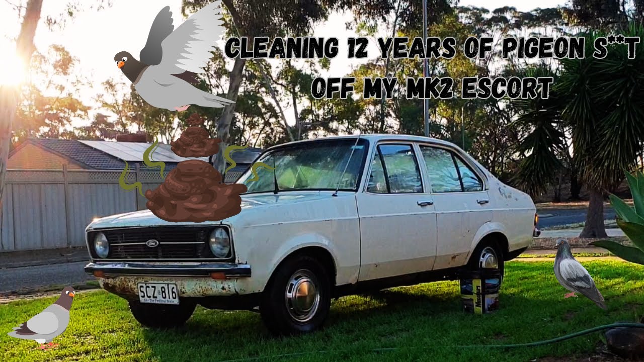 Cleaning 12 Years Of Pigeon S**t Off My MK2 Escort