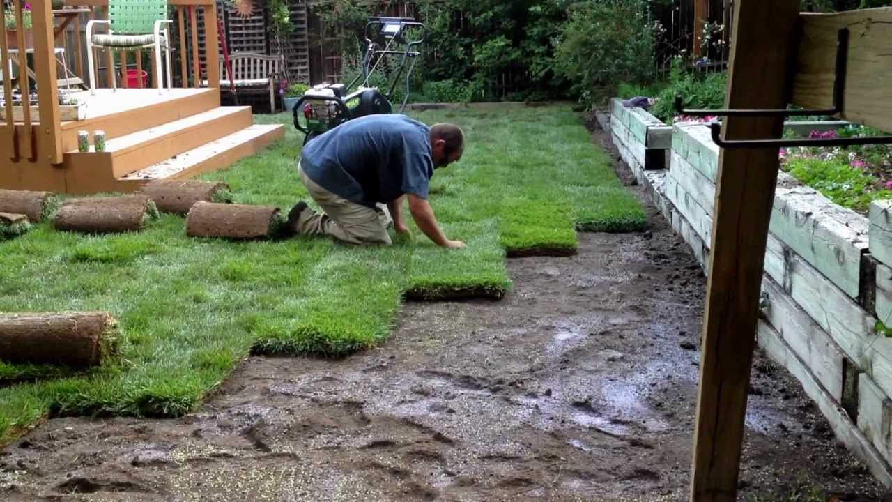 Sod-Installation-Colorado-Springs-Monument-Castle Rock-Parker-Aurora-CO-719.963.6267/720.221.3606